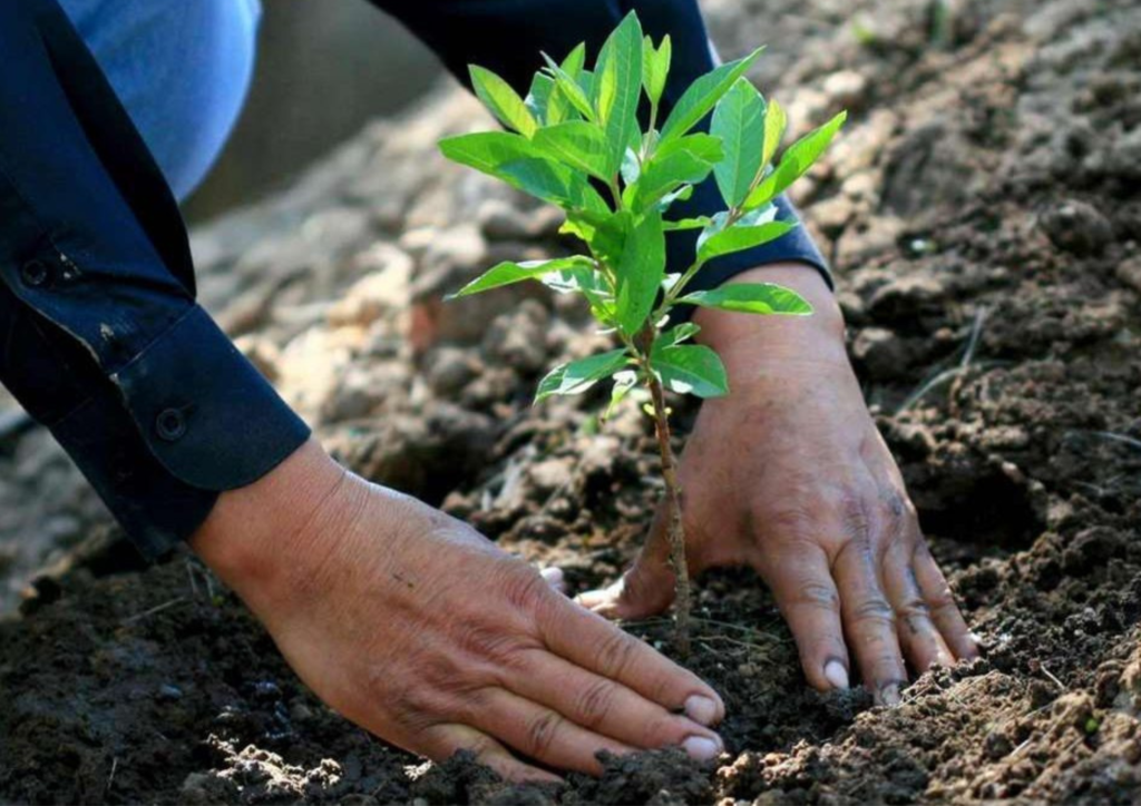 asesoramiento sobre cambio climático