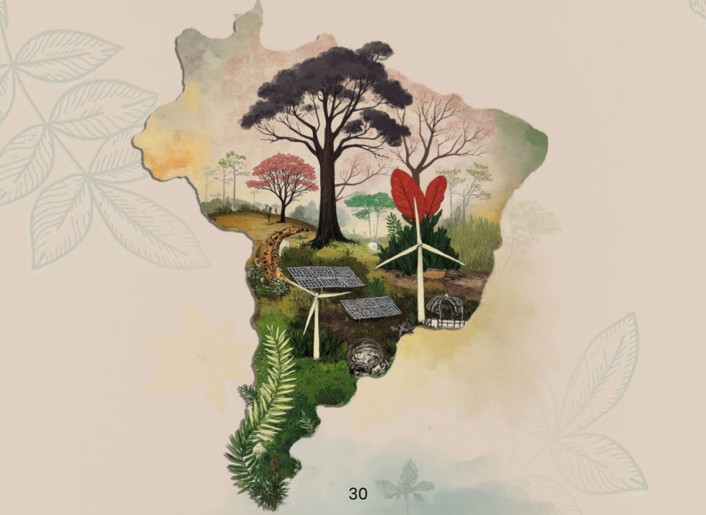COP30