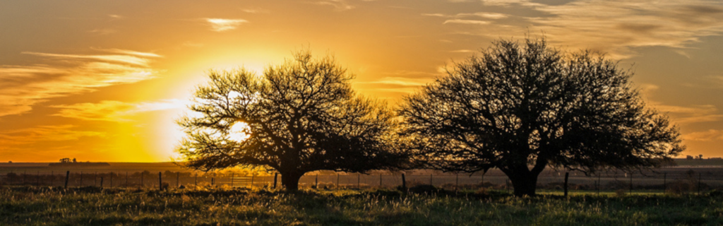 La Pampa y el Cambio Climático