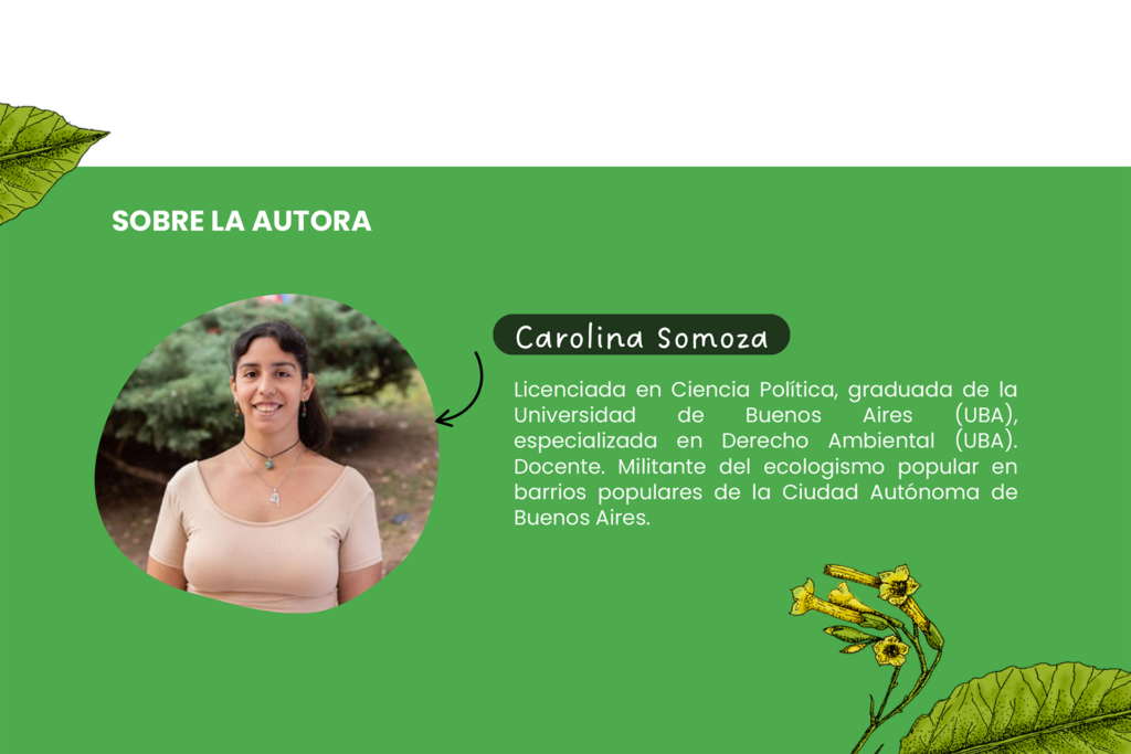 crisis ambiental